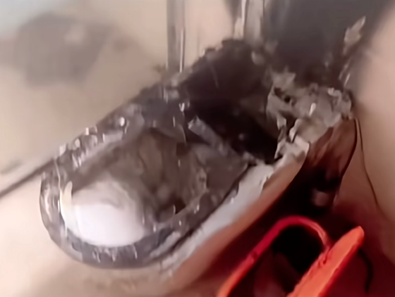 “你家马桶爆炸把楼淹了！”旅游途中接急电，女子天塌了