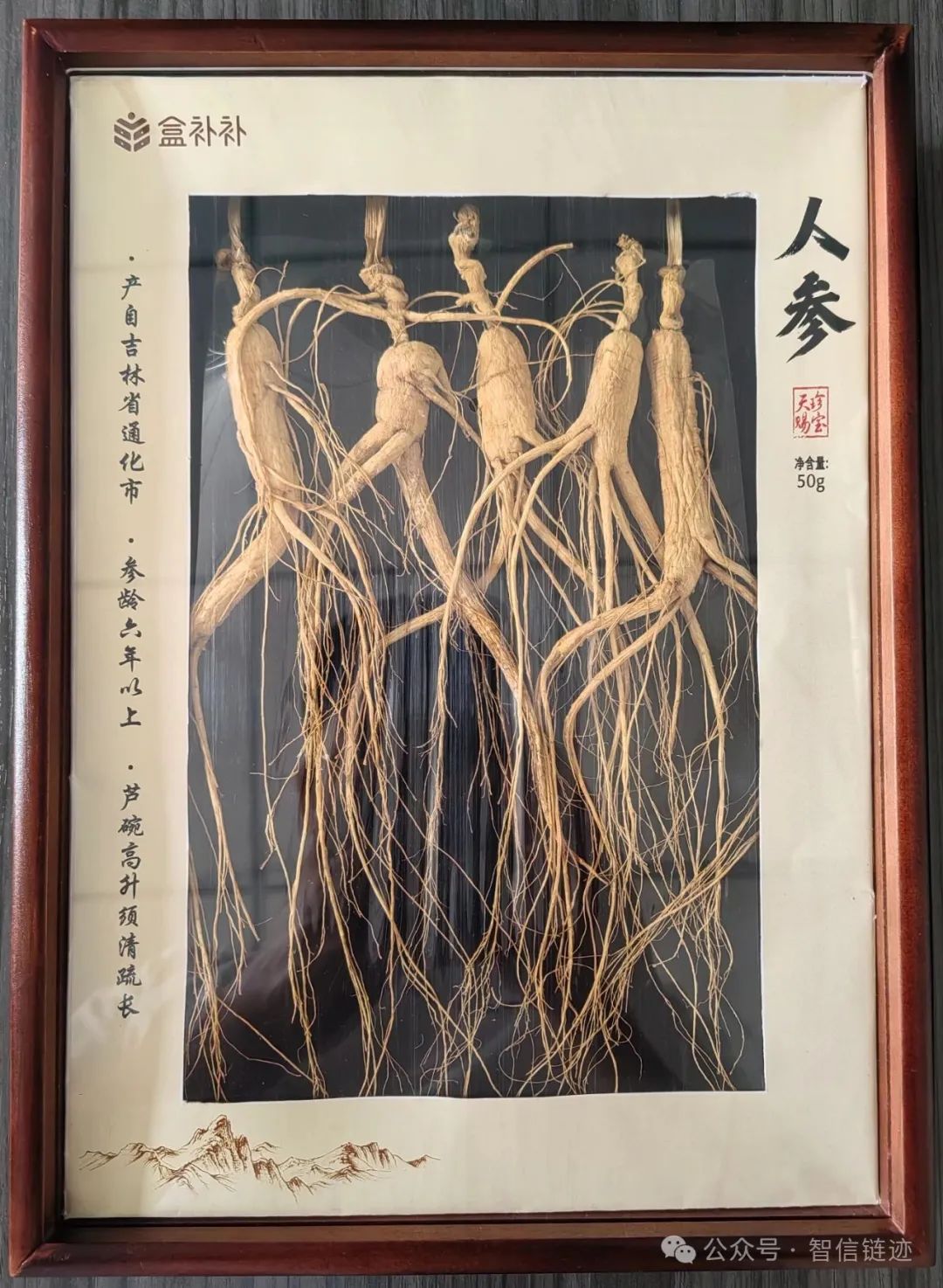 【人参追溯标识应用】“盒补补”人参应用追溯标识