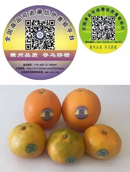 商品追溯标识如何终结网红食品的信任缺失困局