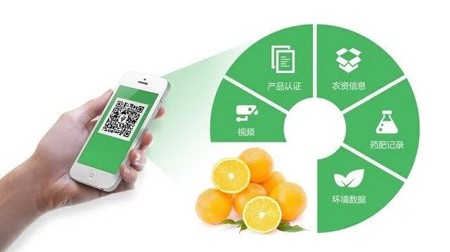 商品追溯标识如何终结网红食品的信任缺失困局