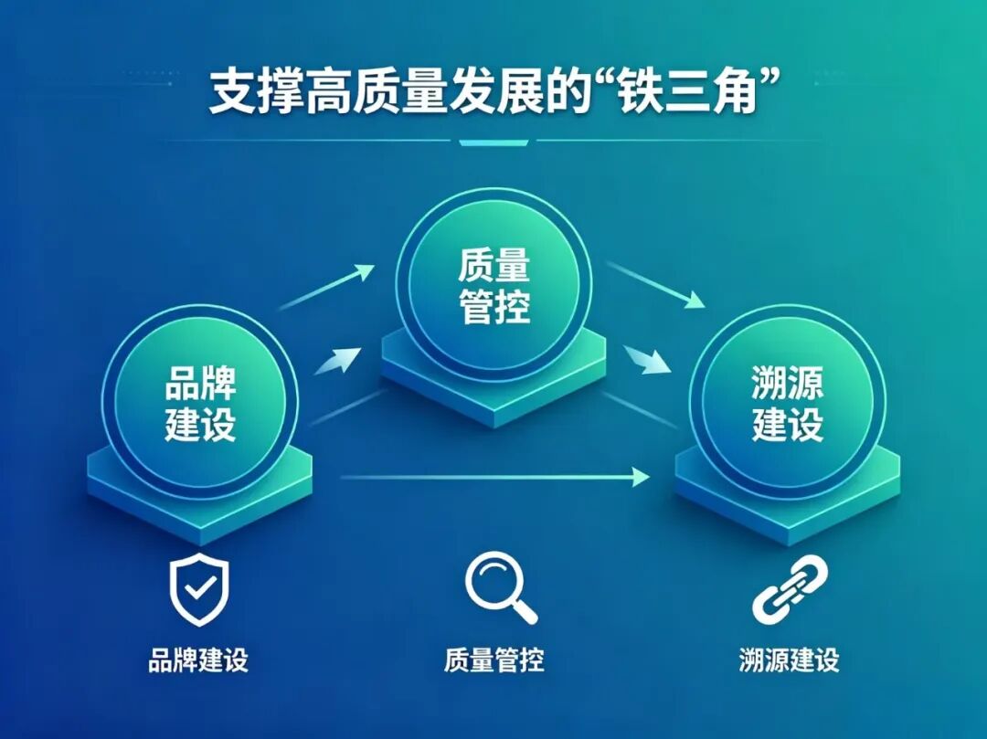 溯源提质塑品牌 筑牢企业高质量发展根基