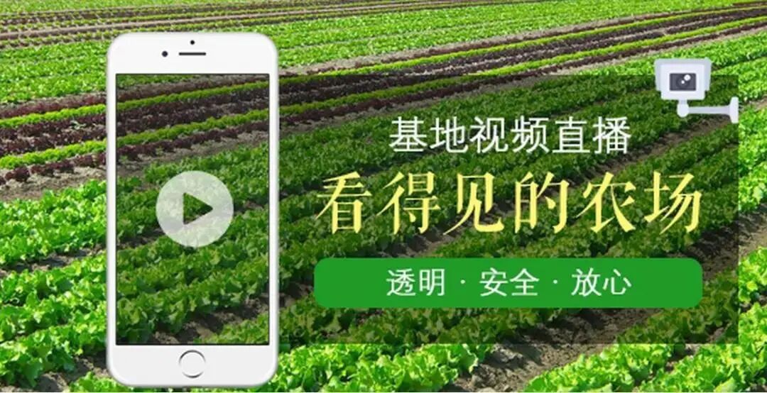 溯源联动直播：以透明见证，让产品自主传递价值